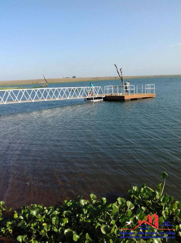 Fazenda à venda com 2 quartos, 1000m² - Foto 63