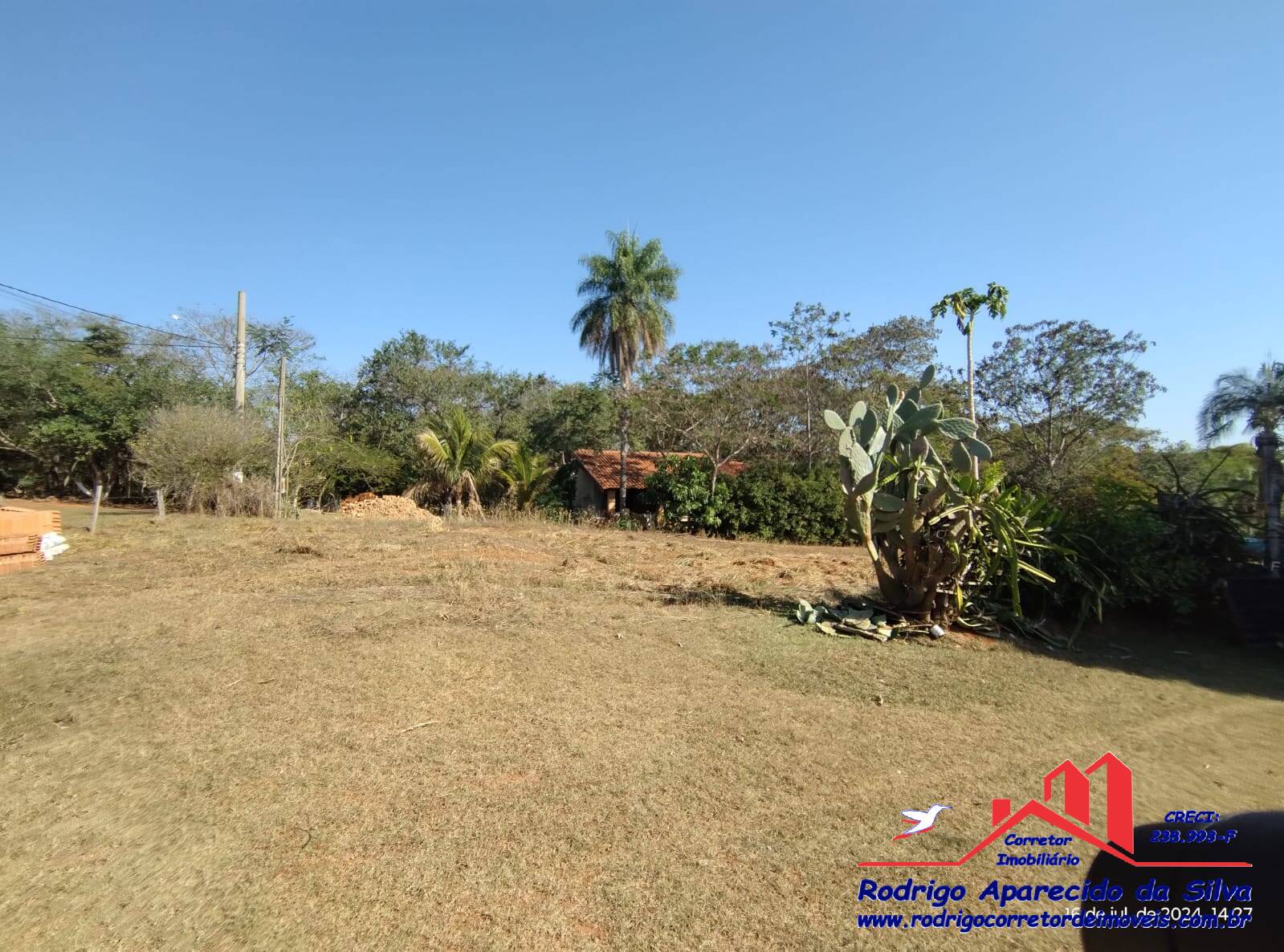 Fazenda à venda com 2 quartos, 1000m² - Foto 5