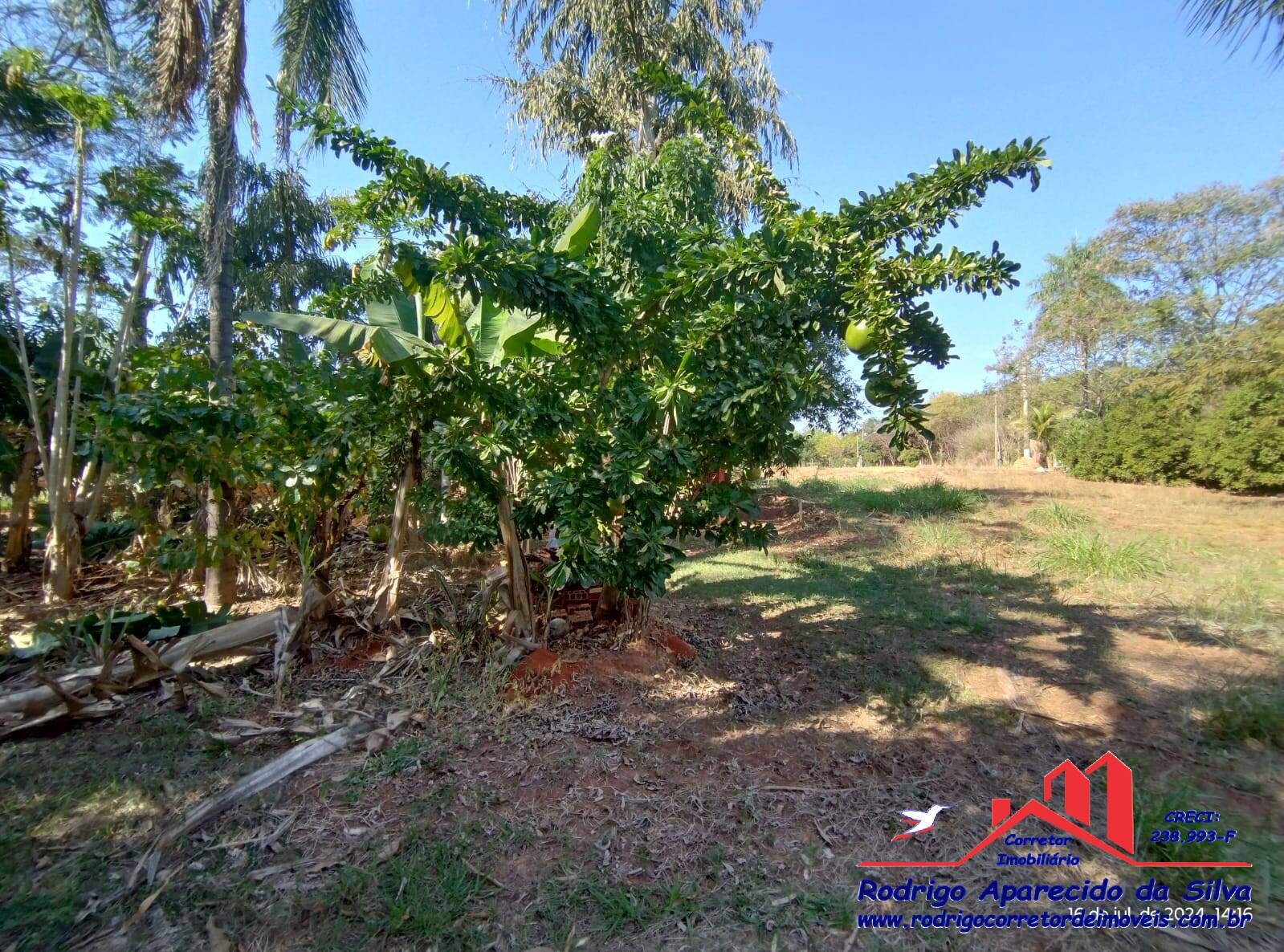 Fazenda à venda com 2 quartos, 1000m² - Foto 33