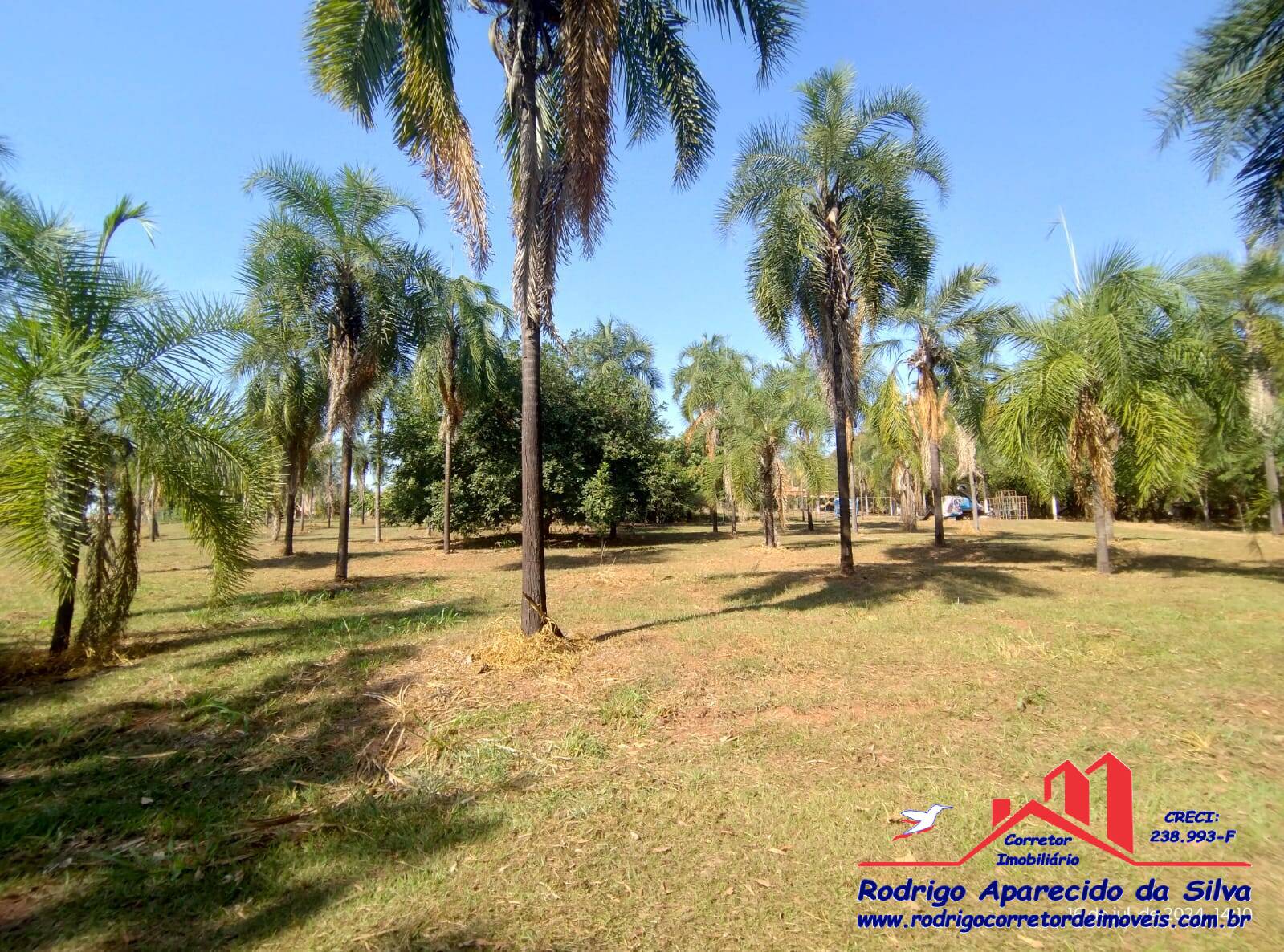 Fazenda à venda com 2 quartos, 1000m² - Foto 41