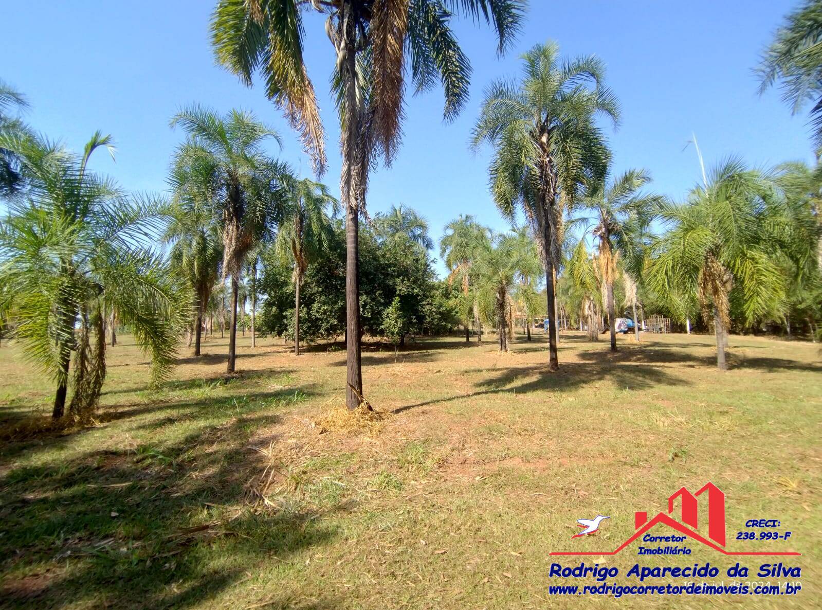 Fazenda à venda com 2 quartos, 1000m² - Foto 52