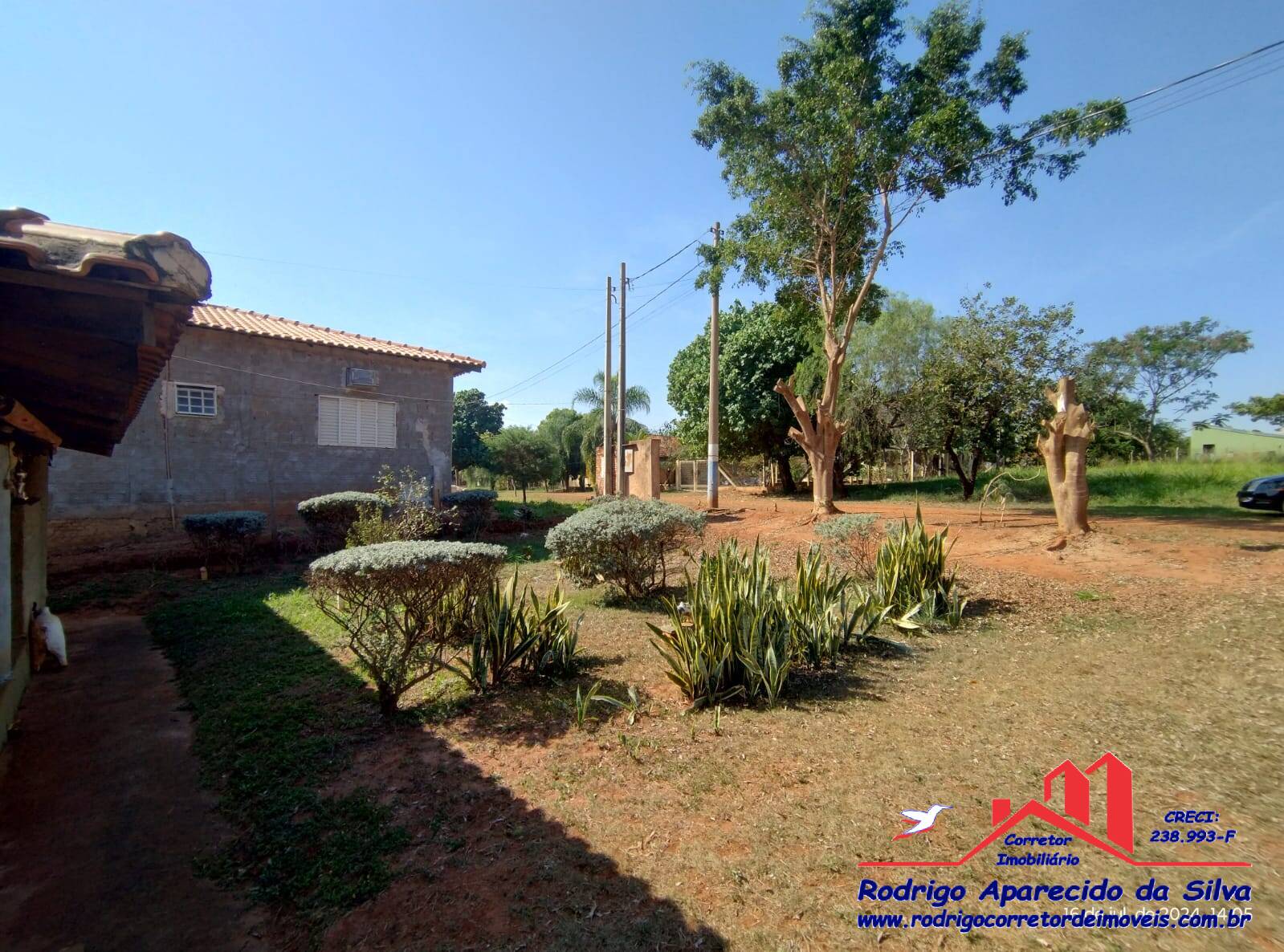 Fazenda à venda com 2 quartos, 1000m² - Foto 11